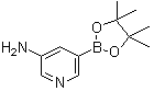 5-氨基吡啶-3-硼酸頻哪醇酯 1073354-99-0