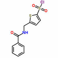 5-(苯甲酰胺)甲基]噻酚-2-磺酰氯 138872-44-3